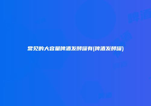 常见的大容量啤酒发酵罐有(啤酒发酵罐)