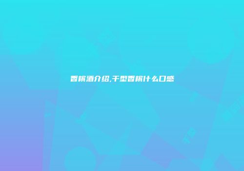 香槟酒介绍,干型香槟什么口感