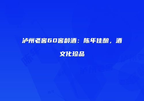 泸州老窖60窖龄酒：陈年佳酿，酒文化珍品