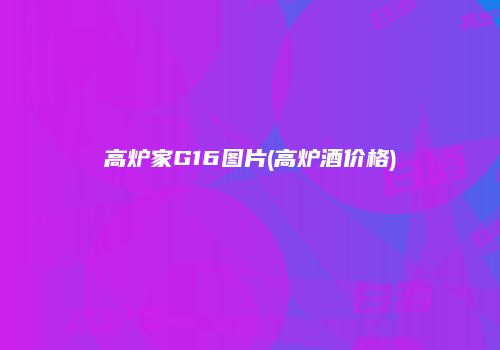 高炉家G16图片(高炉酒价格)