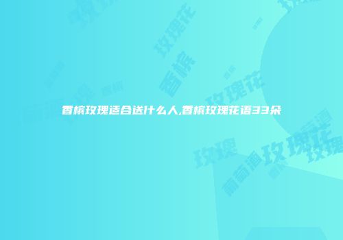 香槟玫瑰适合送什么人,香槟玫瑰花语33朵