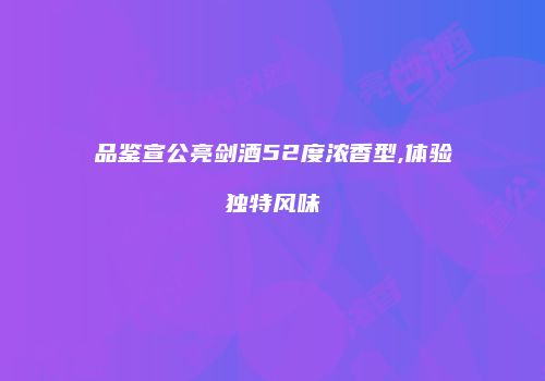 品鉴宣公亮剑酒52度浓香型,体验独特风味