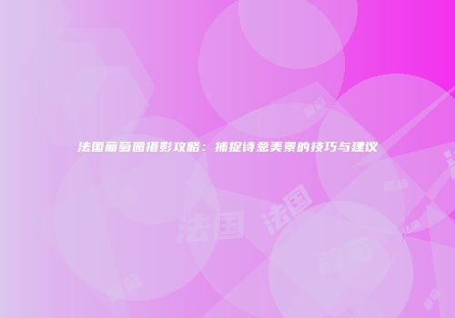 法国葡萄园摄影攻略：捕捉诗意美景的技巧与建议