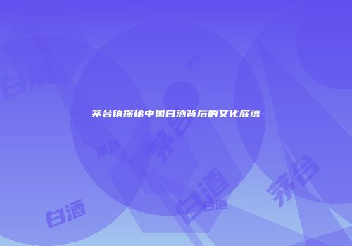 茅台镇探秘中国白酒背后的文化底蕴