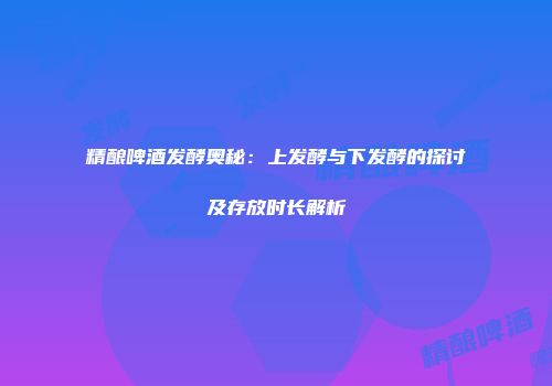 精酿啤酒发酵奥秘：上发酵与下发酵的探讨及存放时长解析