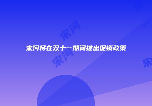 宋河将在双十一期间推出促销政策