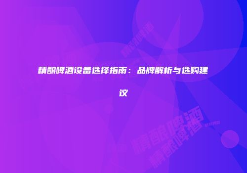 精酿啤酒设备选择指南：品牌解析与选购建议