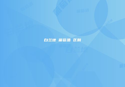 白兰地 葡萄酒 区别