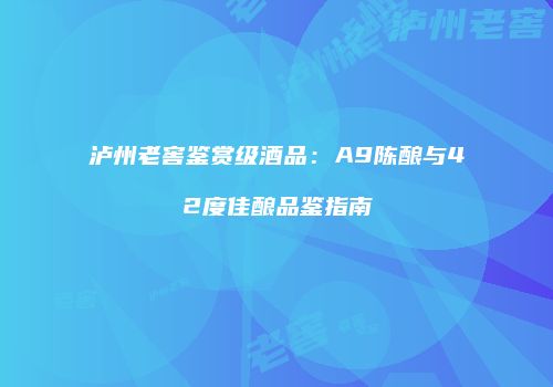 泸州老窖鉴赏级酒品：A9陈酿与42度佳酿品鉴指南