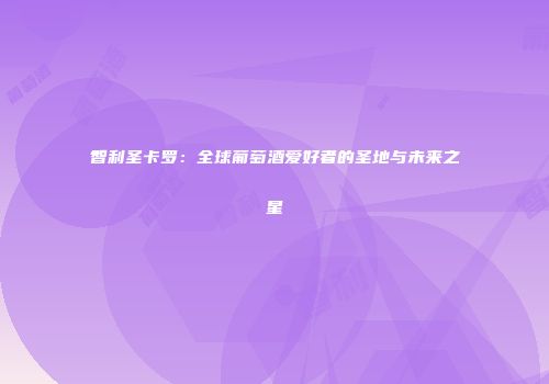 智利圣卡罗：全球葡萄酒爱好者的圣地与未来之星