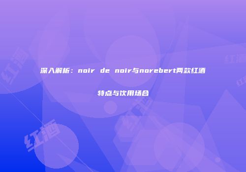 深入解析：noir de noir与norebert两款红酒特点与饮用场合