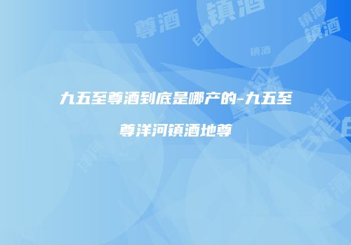 九五至尊酒到底是哪产的-九五至尊洋河镇酒地尊