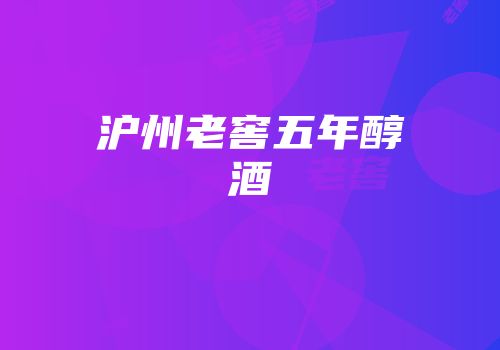 沪州老窖五年醇酒