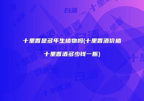 十里香是多年生植物吗(十里香酒价格十里香酒多少钱一瓶)