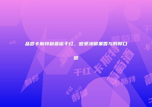 品尝卡斯特利亚诺干红，感受浓郁果香与醇厚口感