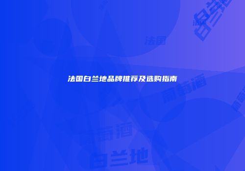 法国白兰地品牌推荐及选购指南