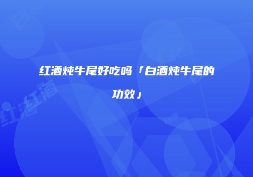 红酒炖牛尾好吃吗「白酒炖牛尾的功效」