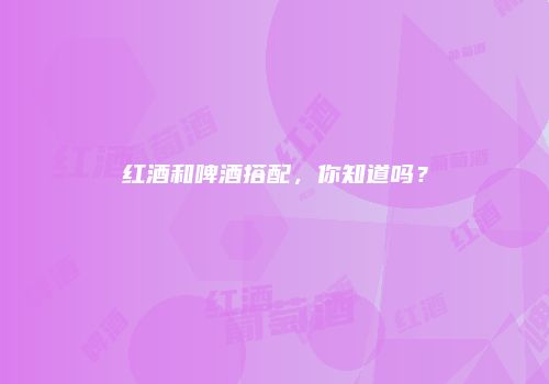 红酒和啤酒搭配，你知道吗？