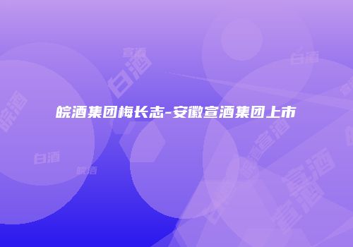 皖酒集团梅长志-安徽宣酒集团上市
