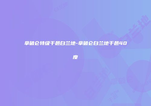 拿破仑特级干邑白兰地-拿破仑白兰地干邑40度