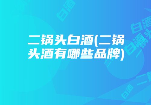 二锅头白酒(二锅头酒有哪些品牌)