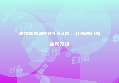 贵州国酱酒20年53度，让你的口感体验升级