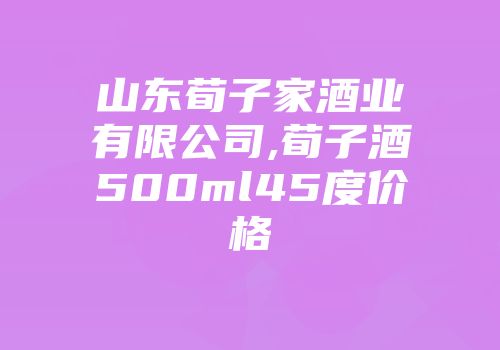 山东荀子家酒业有限公司,荀子酒500ml45度价格