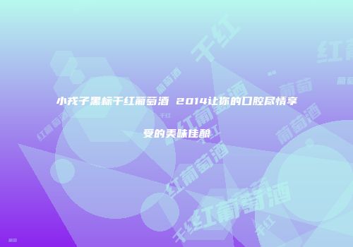 小戎子黑标干红葡萄酒 2014让你的口腔尽情享受的美味佳酿