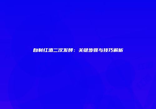 自制红酒二次发酵：关键步骤与技巧解析