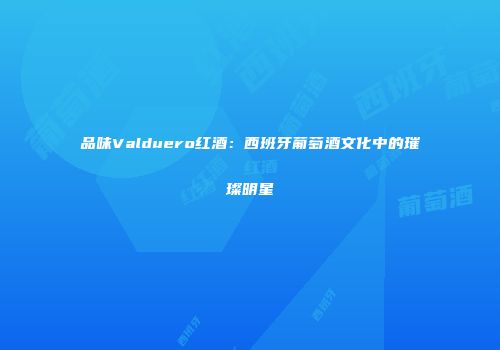 品味Valduero红酒：西班牙葡萄酒文化中的璀璨明星