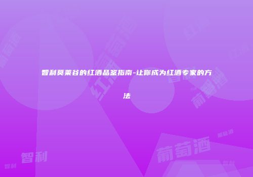 智利莫莱谷的红酒品鉴指南-让你成为红酒专家的方法