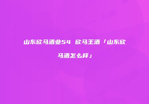 山东欣马酒业54 欣马王酒「山东欣马酒怎么样」