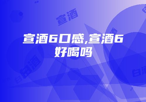 宣酒6口感,宣酒6好喝吗