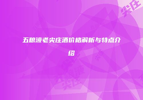 五粮液老尖庄酒价格解析与特点介绍