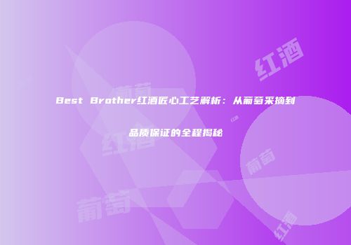 Best Brother红酒匠心工艺解析：从葡萄采摘到品质保证的全程揭秘