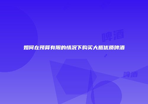 如何在预算有限的情况下购买大瓶优质啤酒
