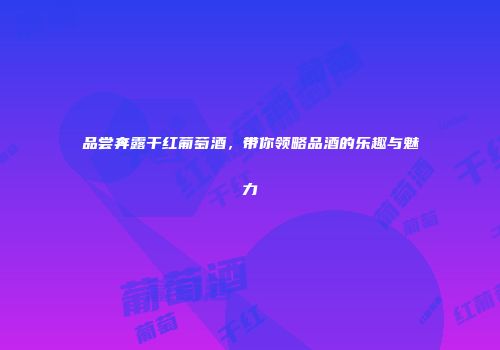 品尝奔露干红葡萄酒，带你领略品酒的乐趣与魅力