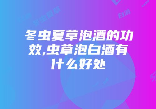 冬虫夏草泡酒的功效,虫草泡白酒有什么好处