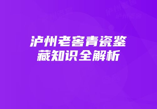 泸州老窖青瓷鉴藏知识全解析