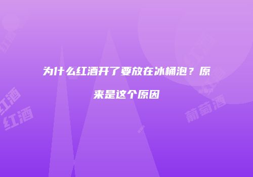 为什么红酒开了要放在冰桶泡？原来是这个原因