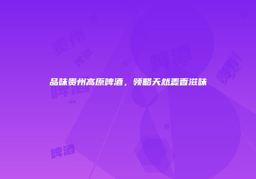 品味贵州高原啤酒，领略天然麦香滋味