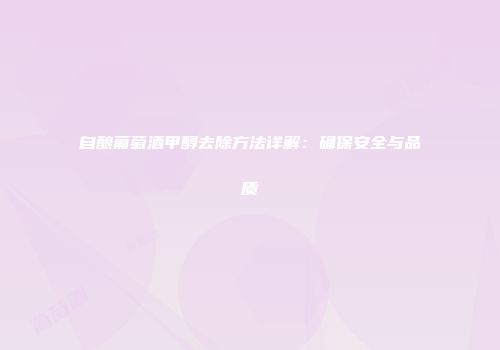 自酿葡萄酒甲醇去除方法详解：确保安全与品质