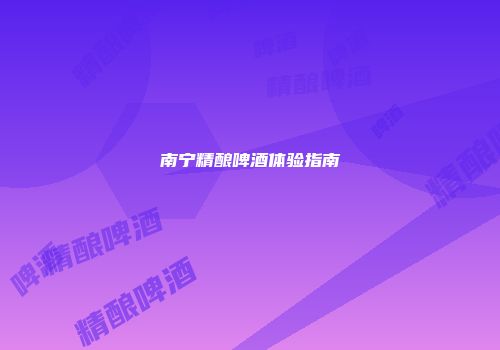 南宁精酿啤酒体验指南