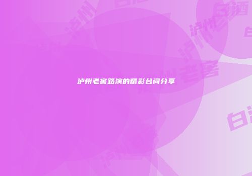 泸州老窖路演的精彩台词分享