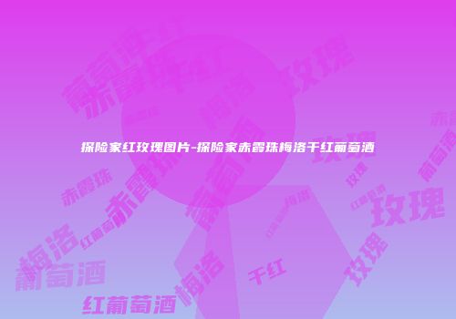 探险家红玫瑰图片-探险家赤霞珠梅洛干红葡萄酒