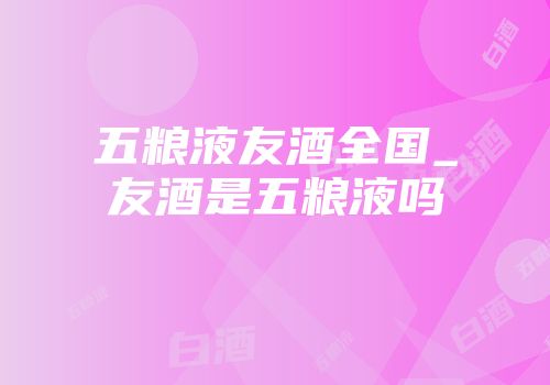 五粮液友酒全国_友酒是五粮液吗