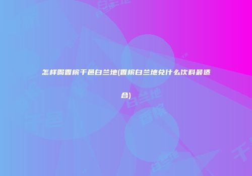 怎样喝香槟干邑白兰地(香槟白兰地兑什么饮料最适合)