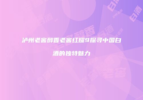 泸州老窖醇香老窖红耀9探寻中国白酒的独特魅力