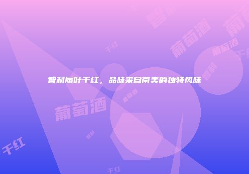 智利魔叶干红，品味来自南美的独特风味