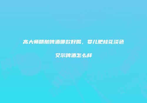 高大师精酿啤酒哪款好喝，婴儿肥桂花淡色艾尔啤酒怎么样